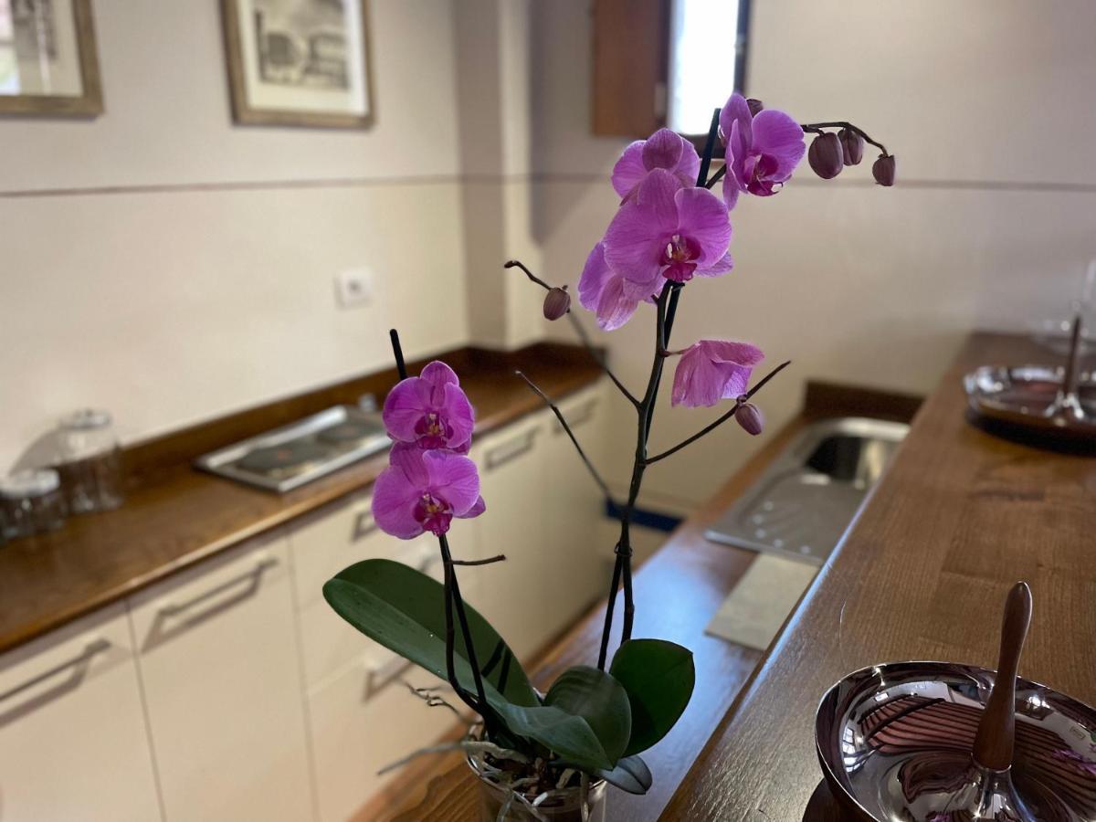 Altesino Suites 몬탈치노 외부 사진